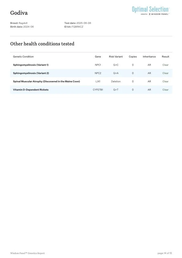 Genetic test report for a Ragdoll cat showing results for various health conditions, including Sphingomyelinosis (Variant 1 and 2), Spinal Muscular Atrophy, and Vitamin D-Dependent Rickets, all with clear results.