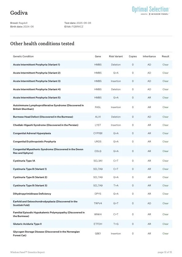 Laboratory report showing genetic test results for a Ragdoll cat, listing conditions tested, gene mutations, risk variants, copy numbers, inheritance modes, and results for each condition.