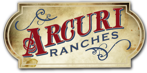 Arcuri Ranches | Registered black angus cattle