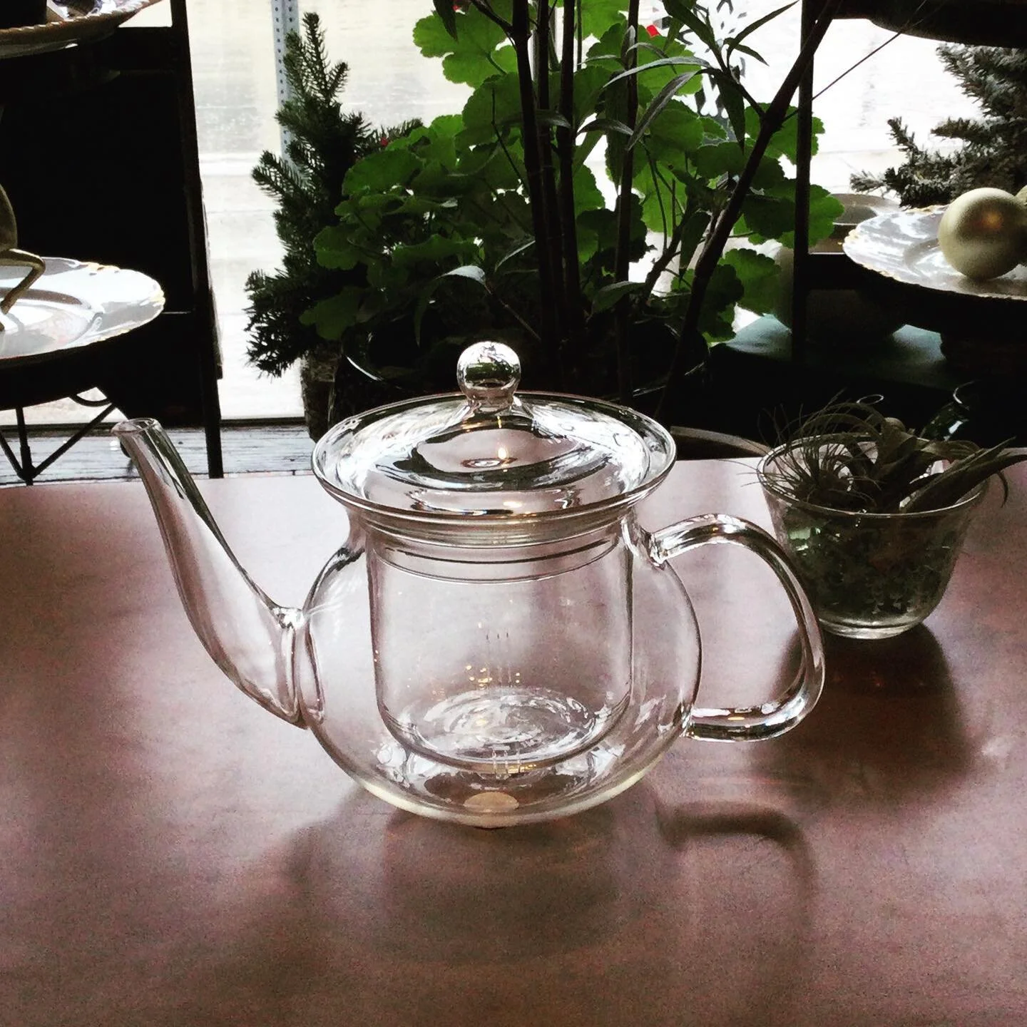 Capital Tea Home Buy Organic Tea Online, Tea Shop Denver, Buy Tea