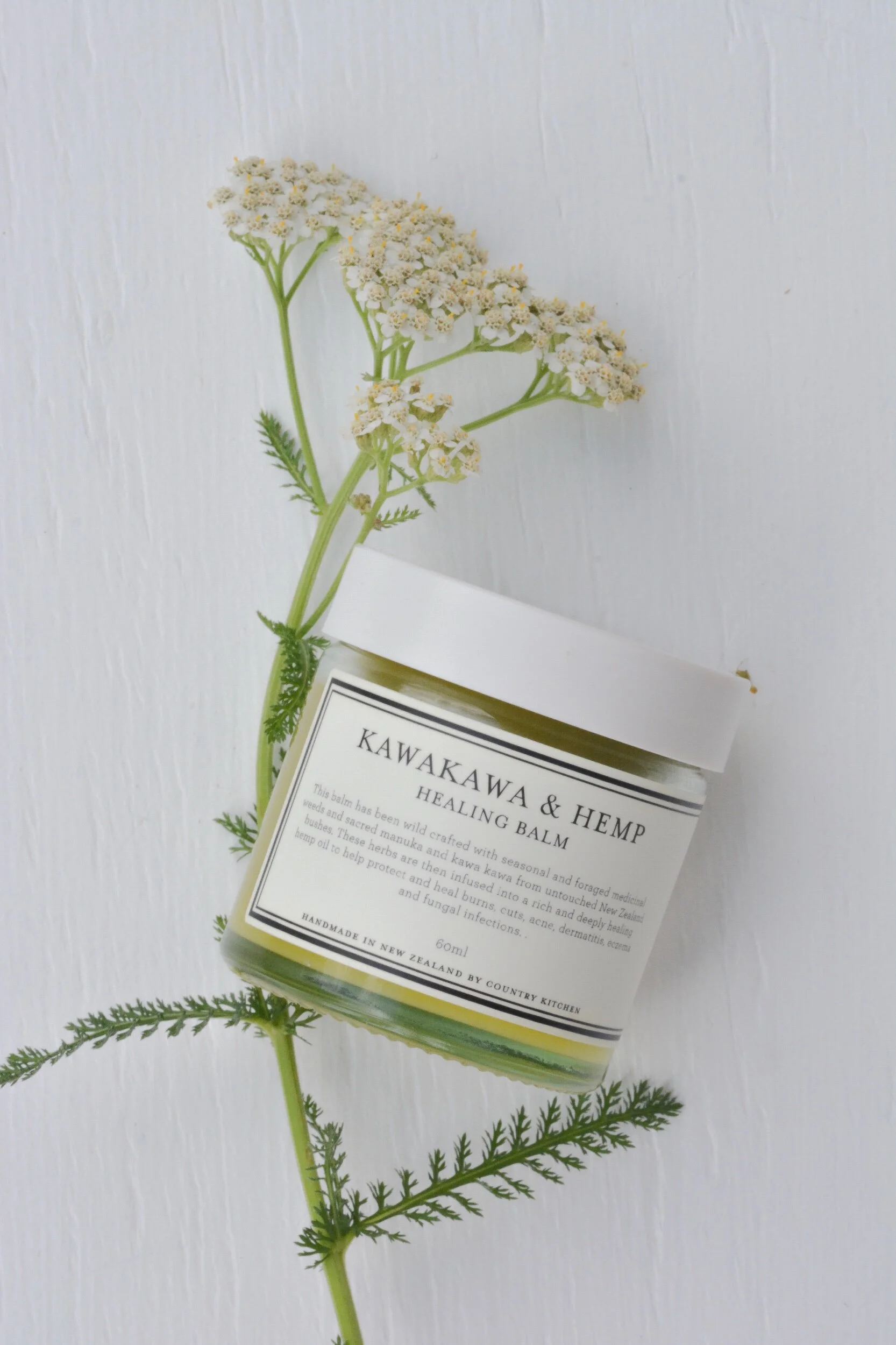 8B435405-5E79-4EBF-BE10-F1D9AD525B57