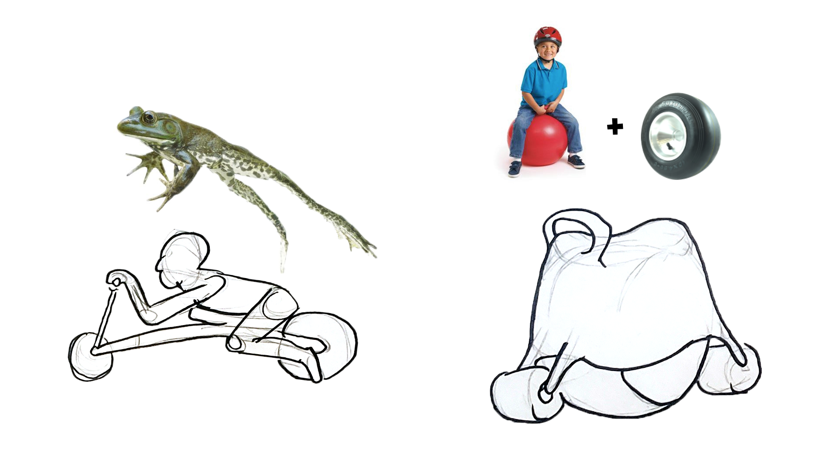 Slide12.png