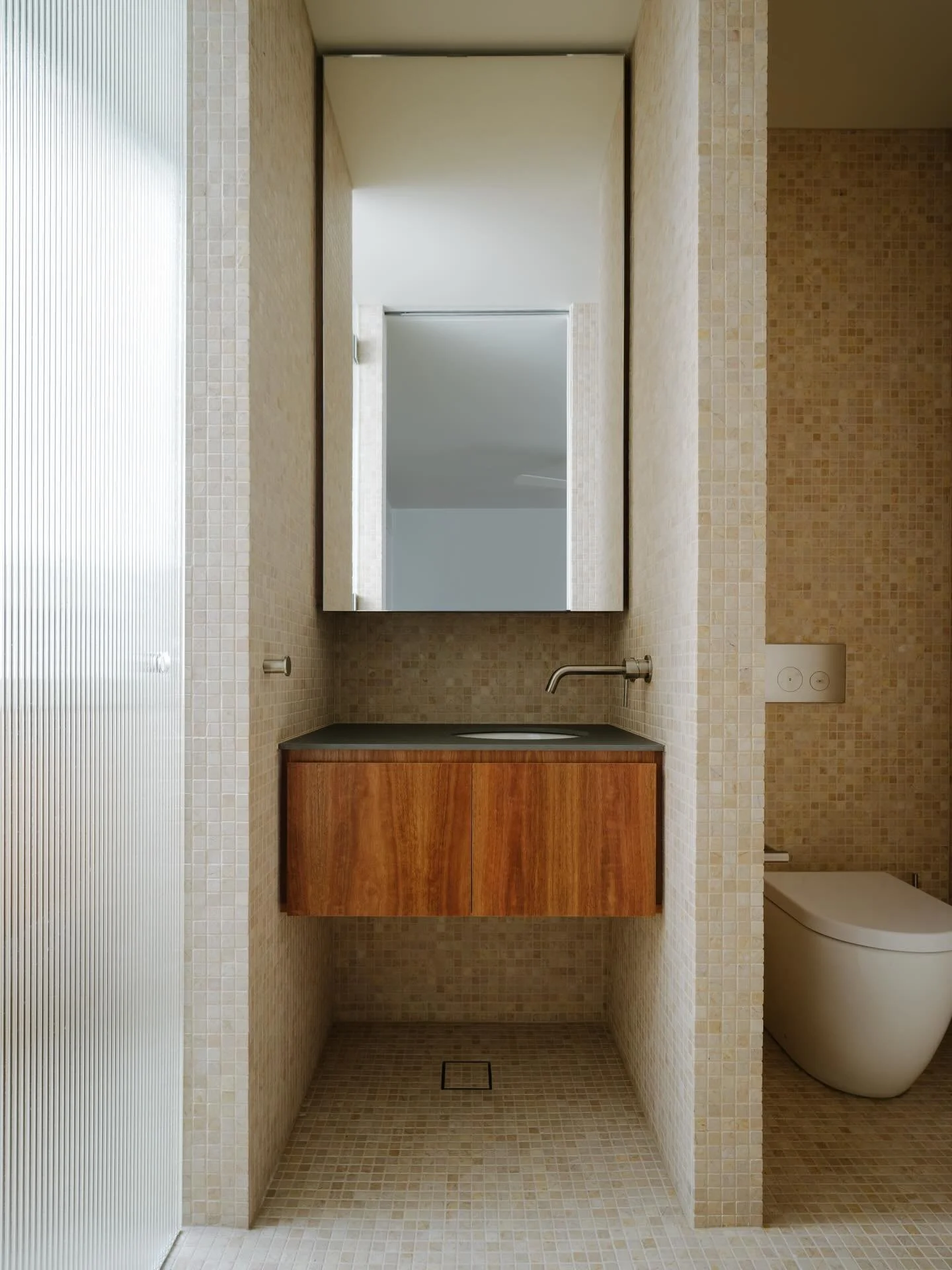 Balmain ensuite 

@architect.george 
@hamishmcintosh