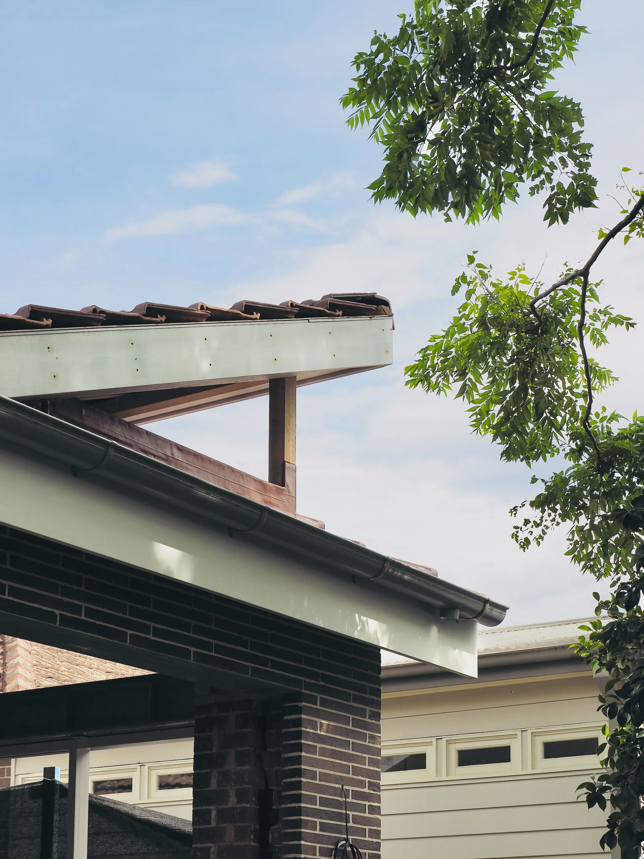 Northhouse Progress 3_241107_019.jpeg