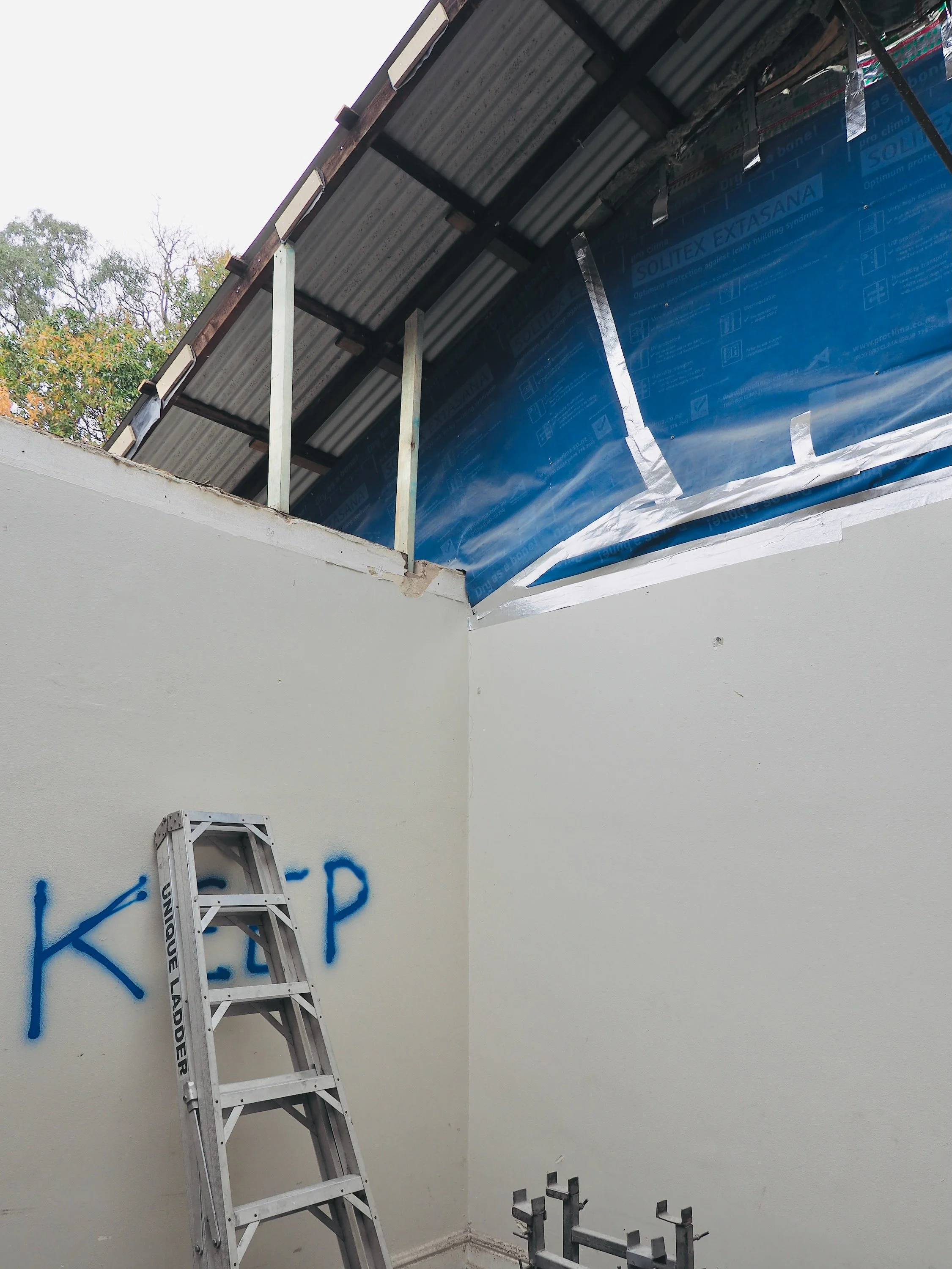 Northhouse Progress 3_241107_039.jpeg