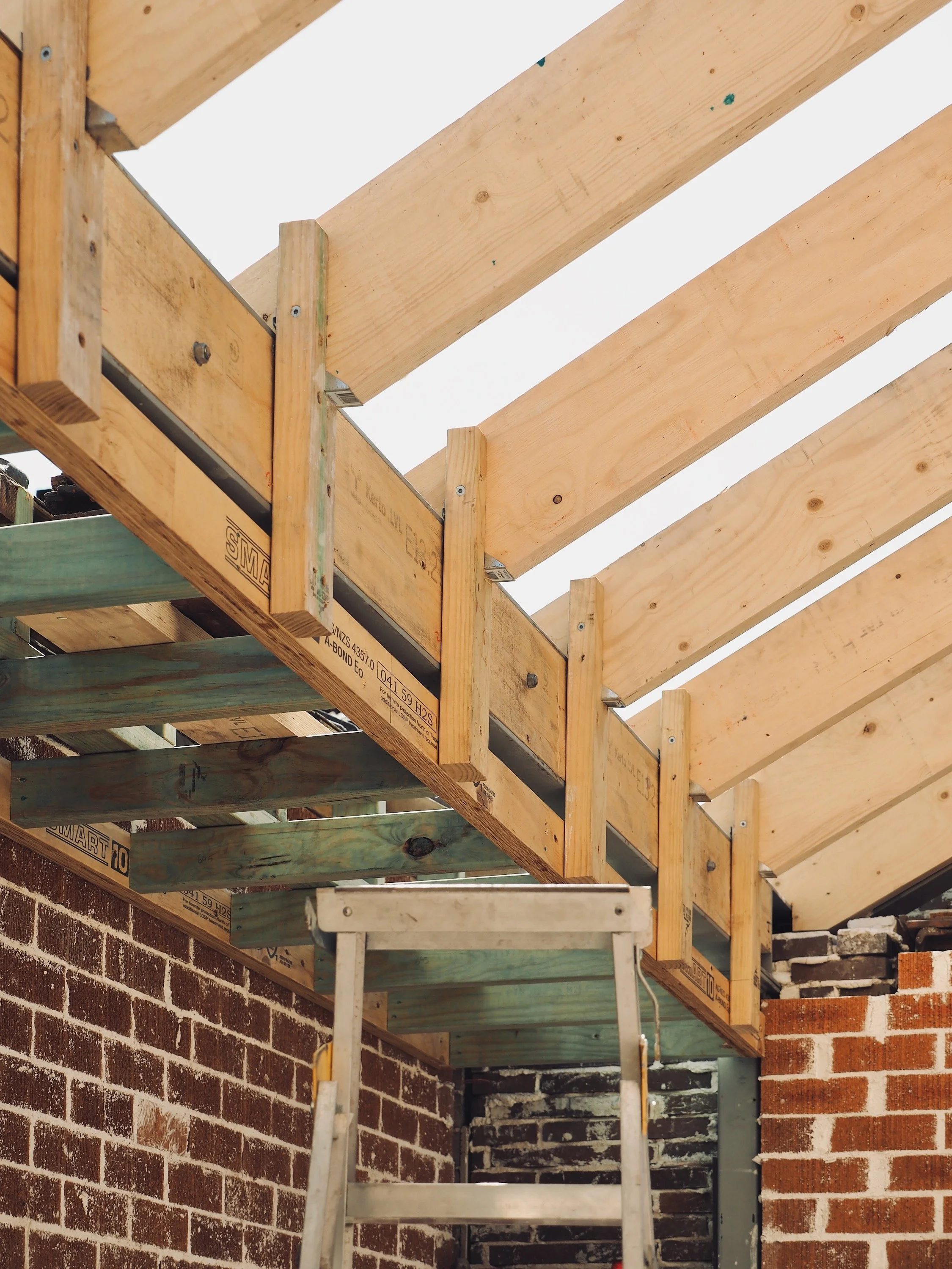 Northhouse Progress_02_240923_58.jpeg