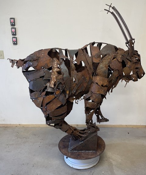 Sawtooth Mountains Goat - Dan Brown
