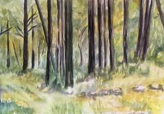 Old Fire Road - Paula Mackrow