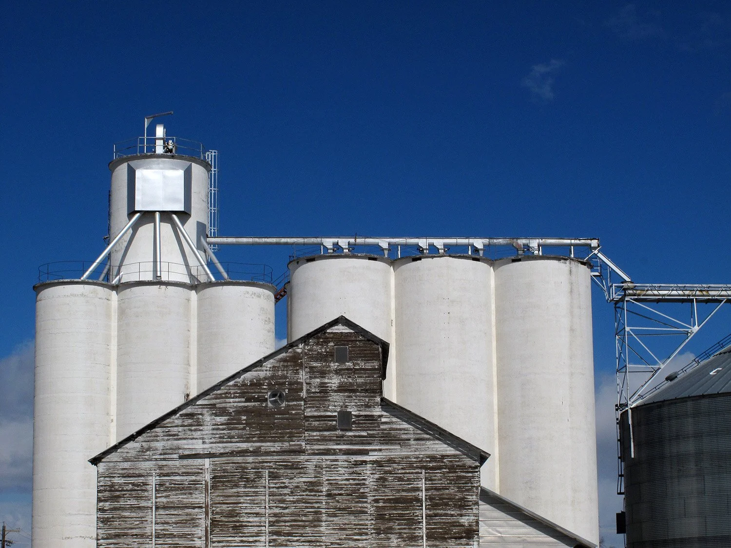 stamperthe_shape_of_farming_2839_small (1).jpg