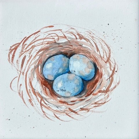 nest.jpg