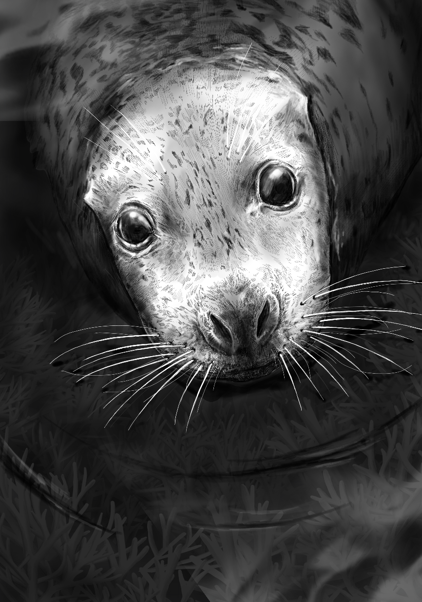 cordellseal.png