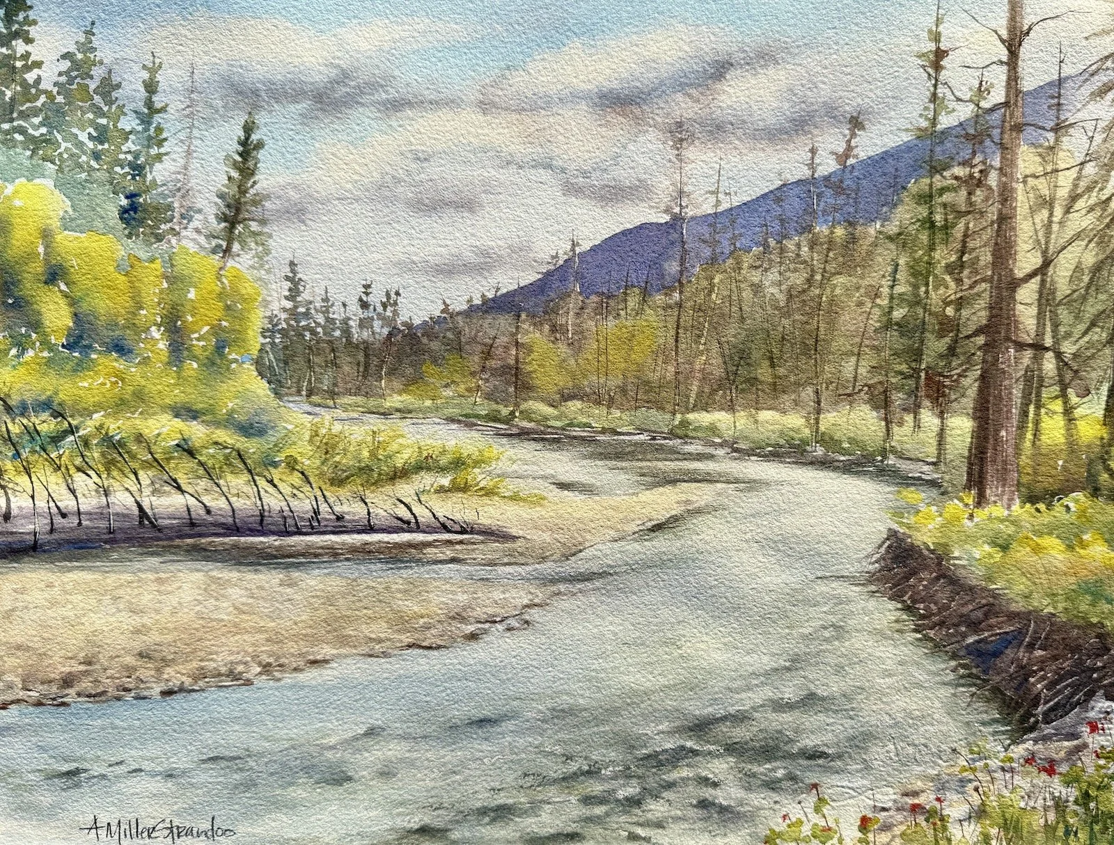springtime_up_the_chewuchanne_miller_strandoo (1).jpg