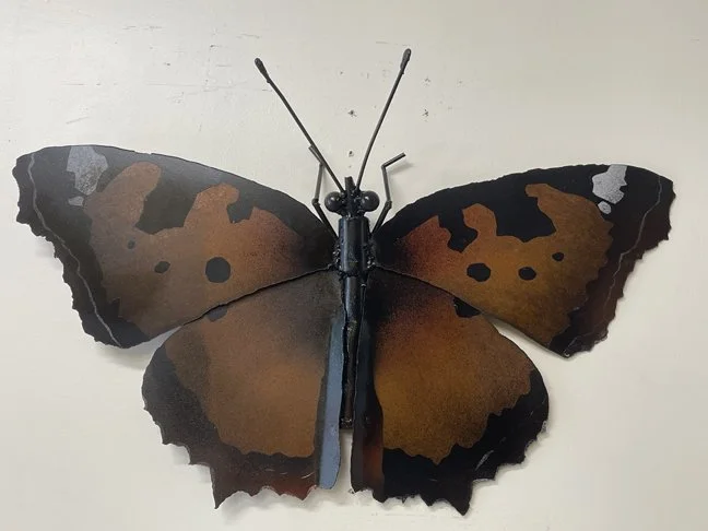 tortoiseshellsmall.jpg