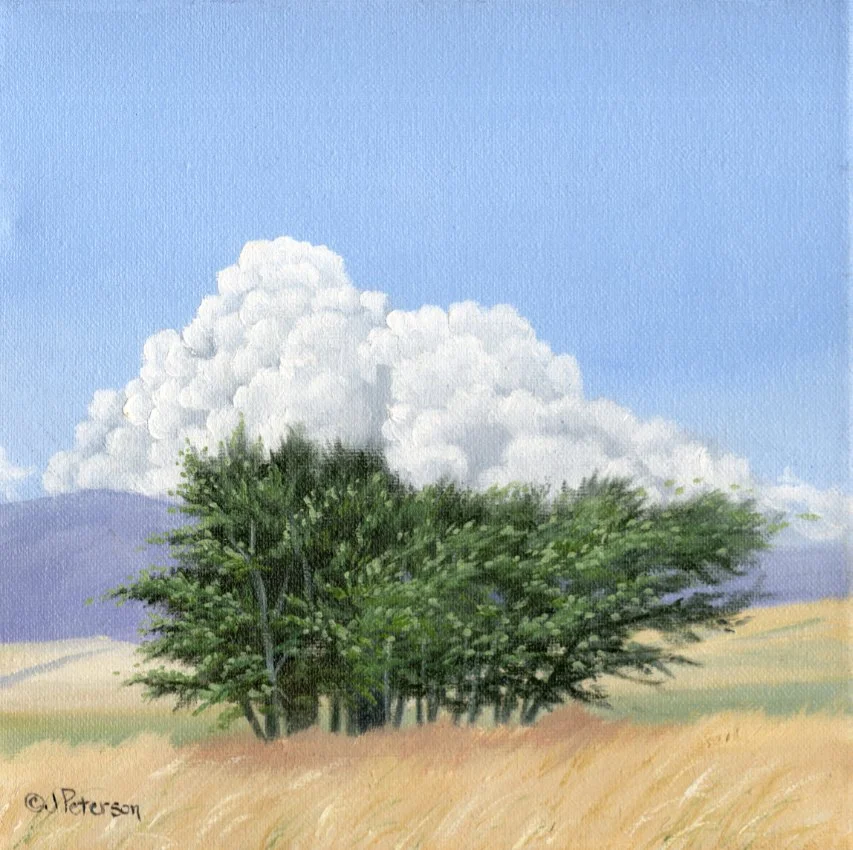 Clouds - Julie Peterson