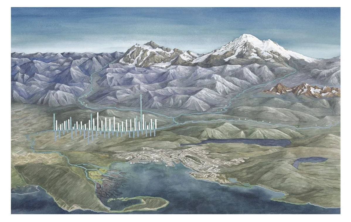 Nooksack River Watershed - Jill Pelto