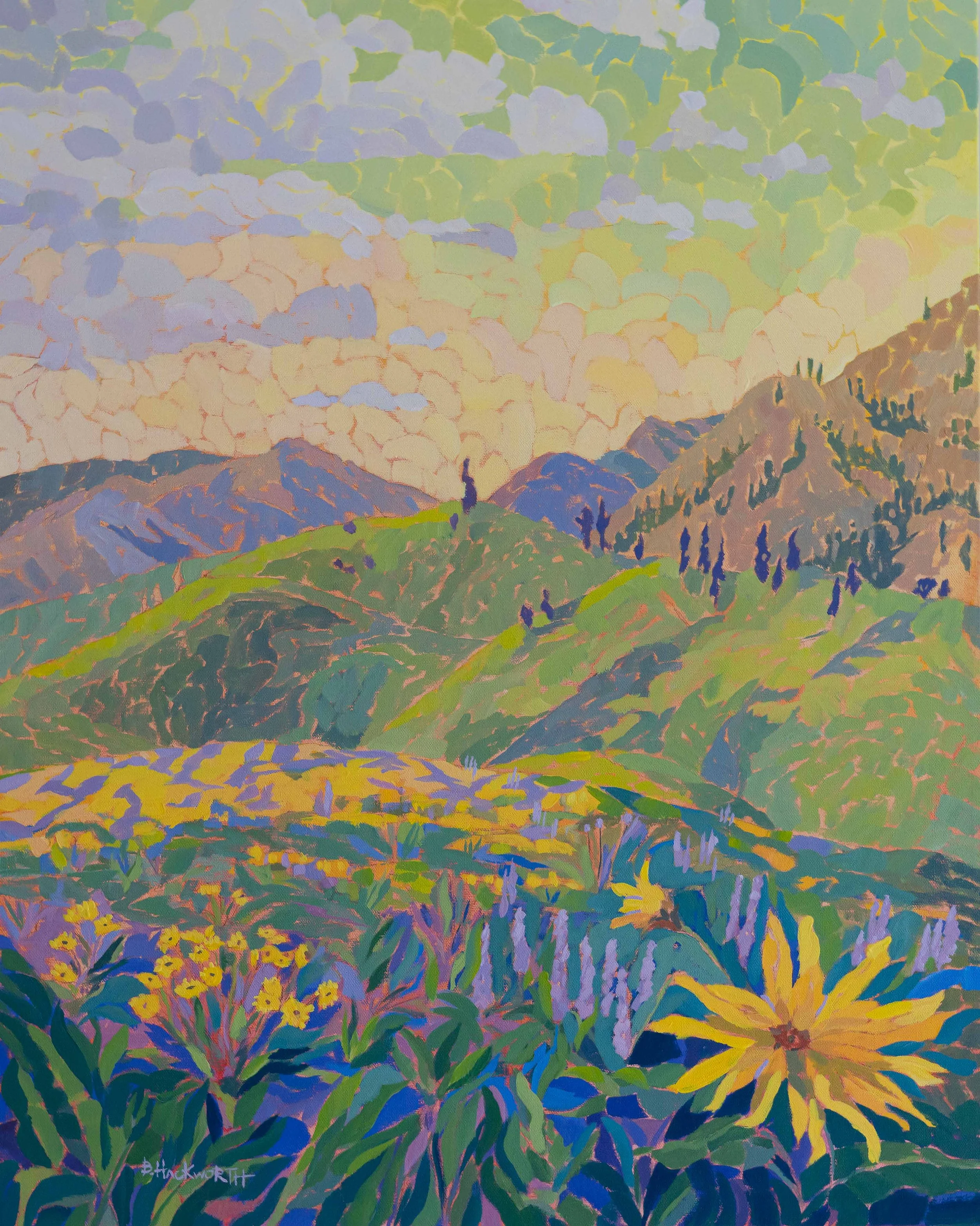 bhackworth_arrow_leaf_balsam_root_super_bloom_small.jpg