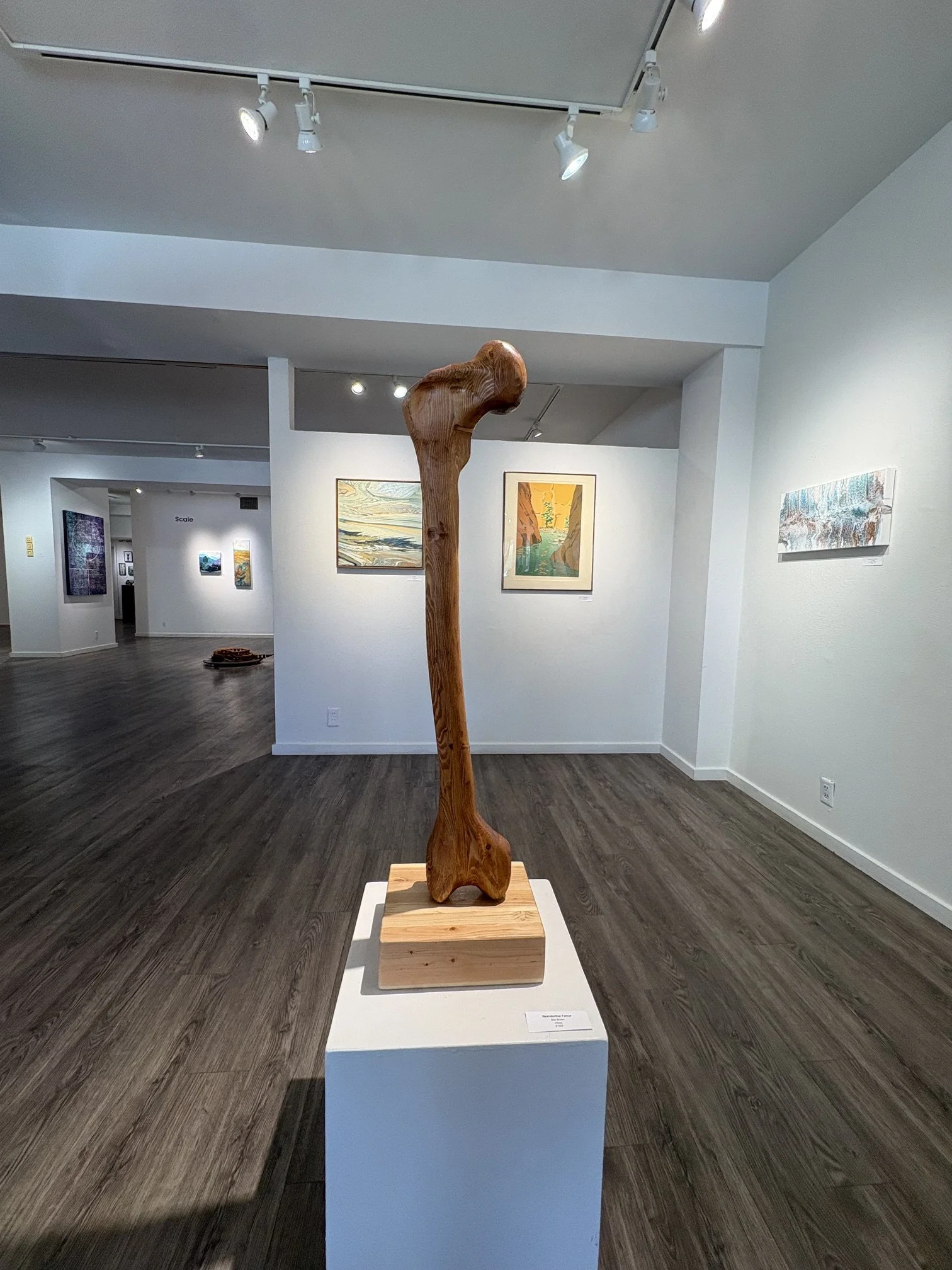Neanderthal Femur - Dan Brown