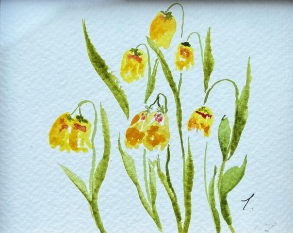 yellow_bells.jpg