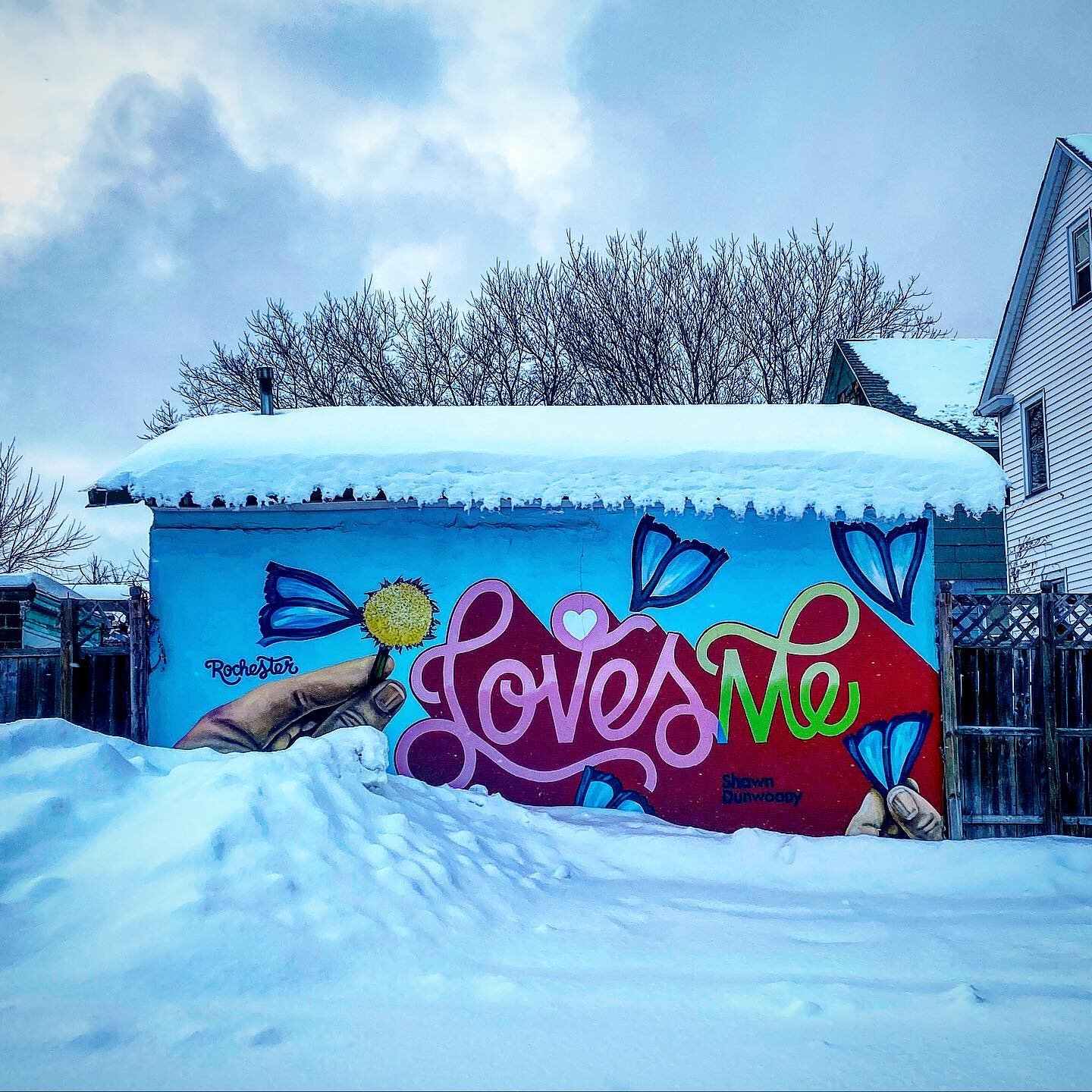 And I love it back. 💙❄️

#ROC #rochesterny #thisisroc #winter #cityphotography #iheartroc #rochesterphotographer #streetart #publicart #shawndunwoody #585 #wny #upstateny #snow #artmatters
