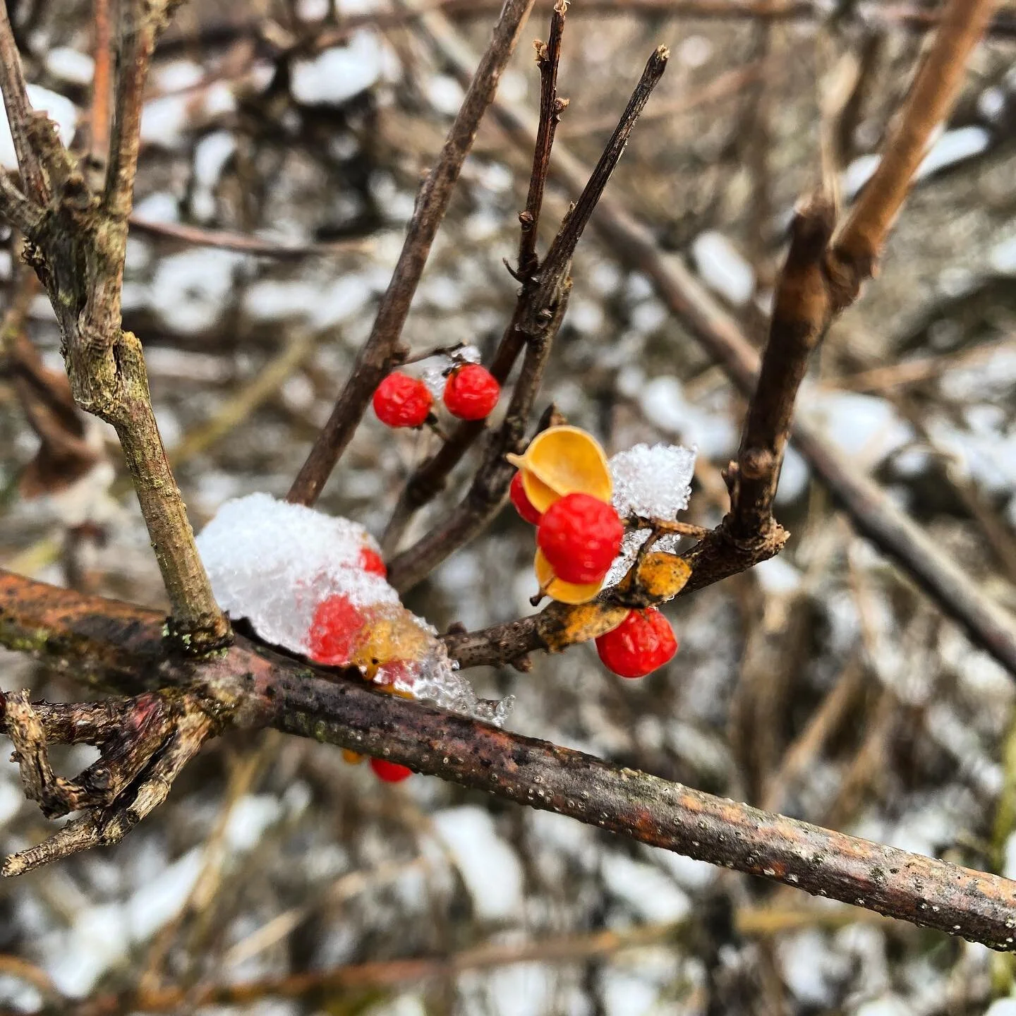 Sometimes when things are dreary, you get to see a bit of color. I&rsquo;ve had tears in my eyes all morning from people showing me color today. 
Today, color looks like a gracious and caring response to a vulnerable note I had to write. It&rsquo;s a