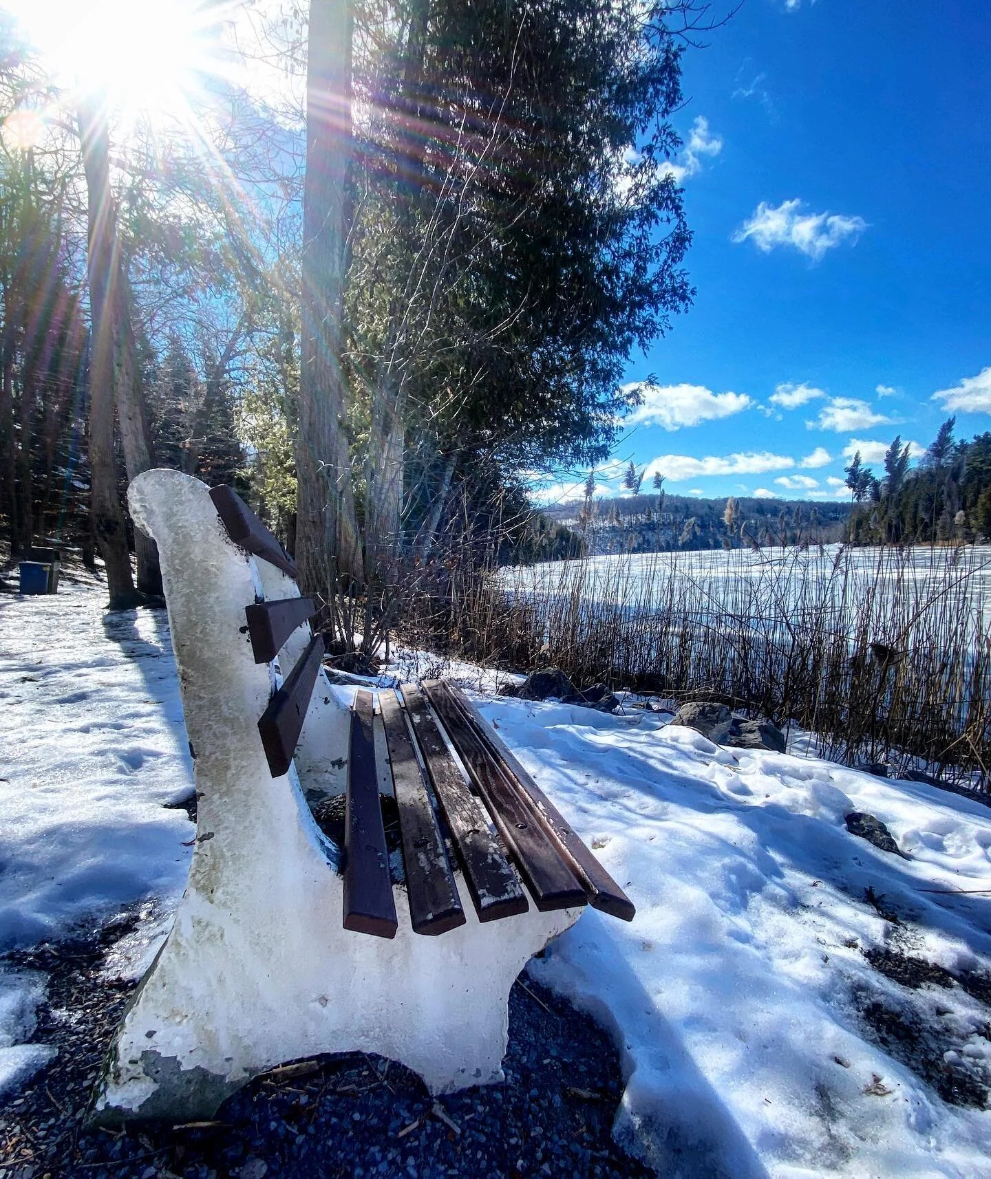 &ldquo;It doesn't matter what you do...so long as you change something from the way it was before you touched it into something that's like you after you take your hands away.&rdquo;
Ray Bradbury, Fahrenheit 451

#roc #syracuse #exploreupstate #thisi