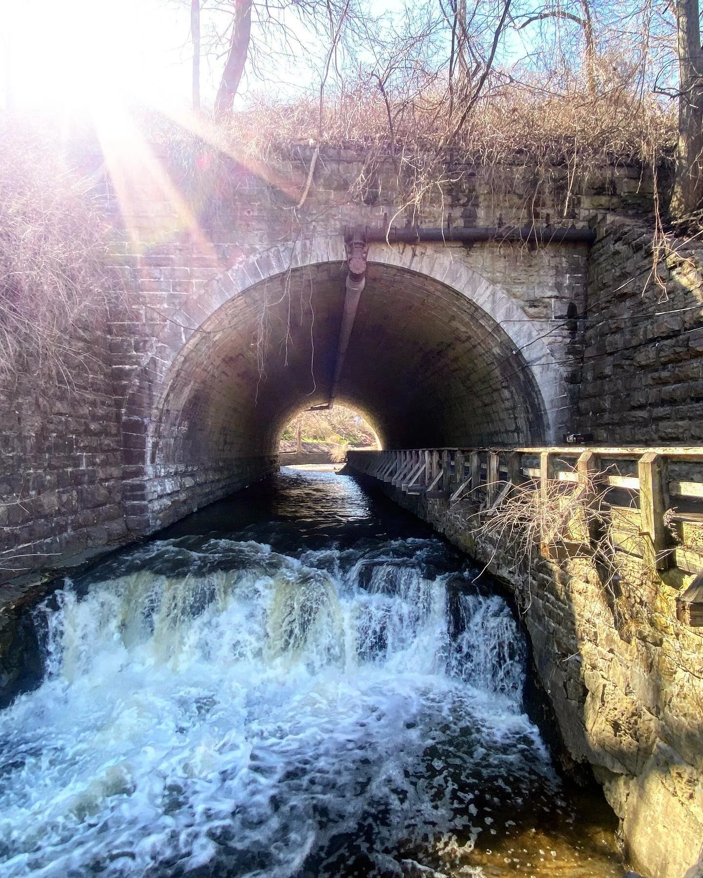 &ldquo;Do more of what you love. Be sure to make time and space for those that mean the most to you, and let them know how you feel. And please use your voice to speak up for what&rsquo;s important.&rdquo; @qua.jay @weloveandlead 

#roc #rochesterny 