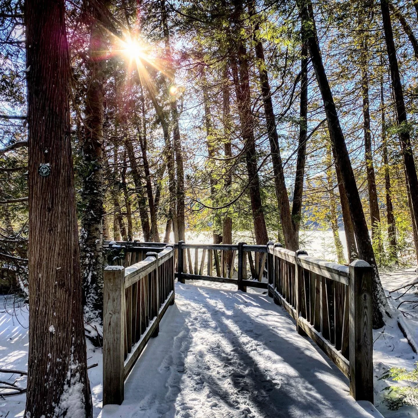 I&rsquo;ve been feeling extremely happy and extremely sad this week, and I&rsquo;m trying to hold space and allow grace for both. I&rsquo;m an #infj, so I am very much both a thinker and a feeler, but I&rsquo;ve always been much more comfortable with