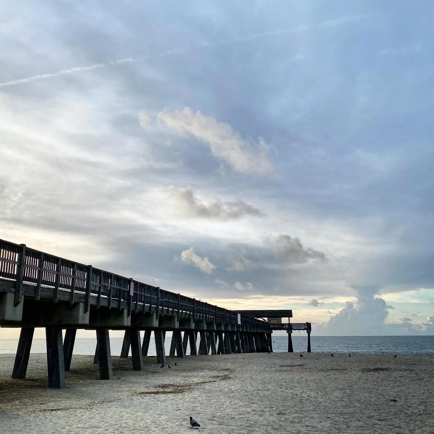 The classic, serene, Tybee Pier shot. Best time of day to go is early in the morning. 👌🏼

#tybee #tybeeisland #travel #tybeeislandbeach #visittybee #naturephotography #sunrise #atlanticocean #beach #pier #rochesterphotographer #eastcoastnomads #tyb
