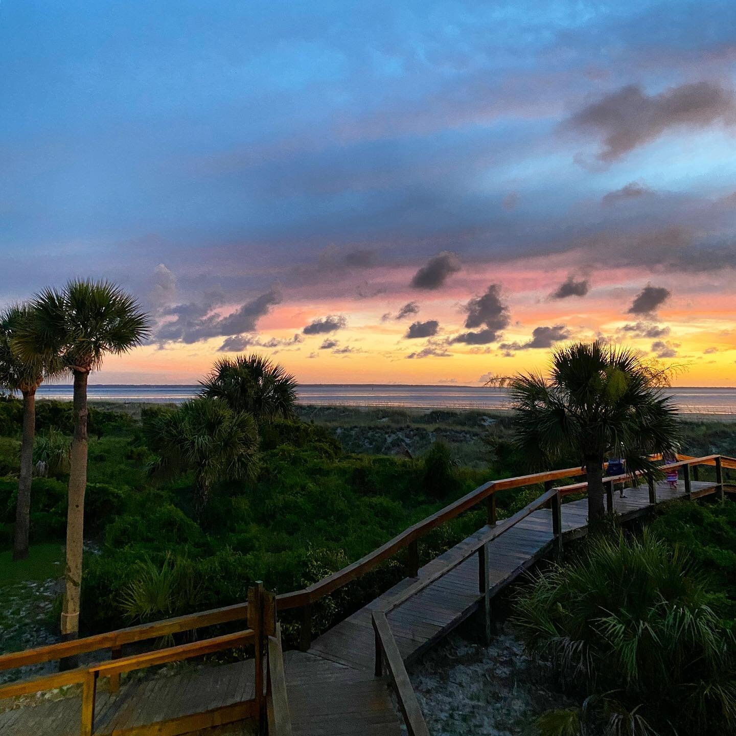 Already missing those early morning walks to catch the sunrise&hellip;

#tybee #tybeeisland #palmtrees #tybeeislandbeach #visittybee #naturephotography #vacation #travelphotography #georgia #eastcoastnomads #sunrise #rochesterphotographer #beachvibes