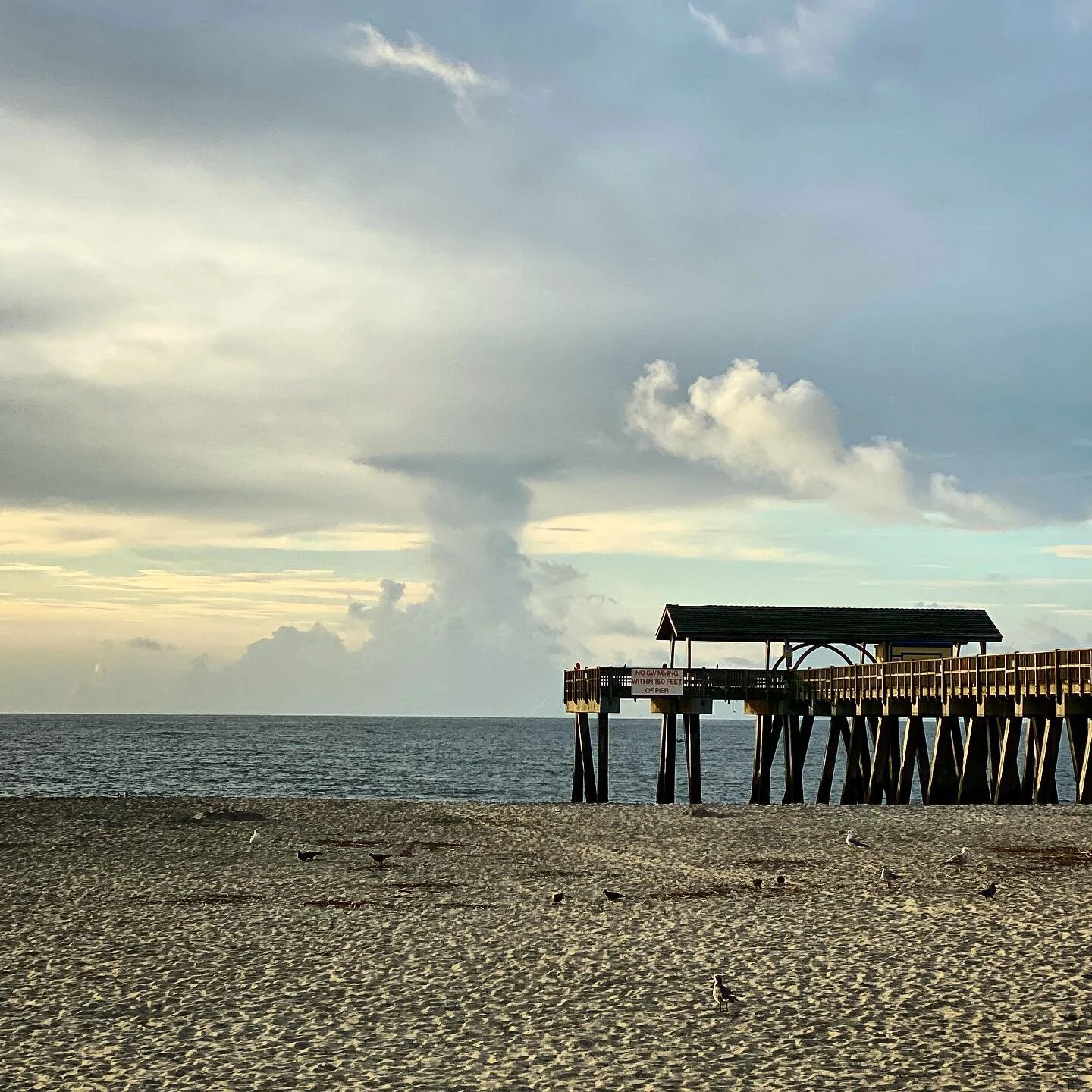 &ldquo;Maybe if you had been different, 
you would have been what they wanted.
But maybe if you have been what they wanted, 
you would have been different
than who you were supposed to be.&rdquo; -Morgan Harper Nichols

#tybee #tybeeisland #travel #t