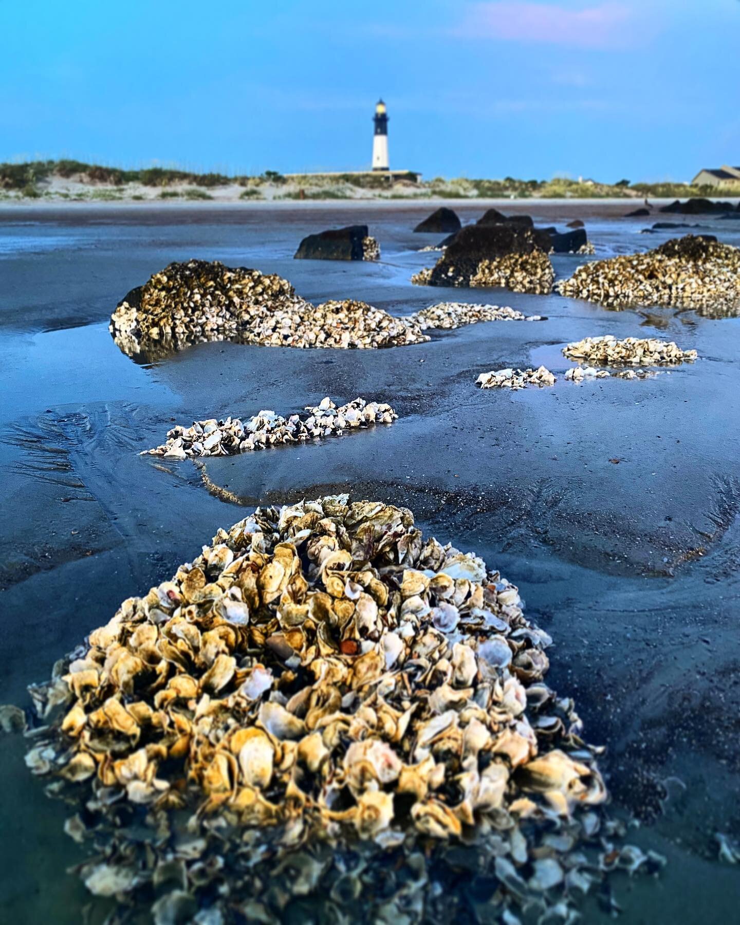 Life sure has a way of trying to pull you down. This week I&rsquo;ve been dealing with fraud on our credit card, discouraging doctors appointments/results, some varying frustrations in life, and the general let-down of returning from a vacation. 

Bu