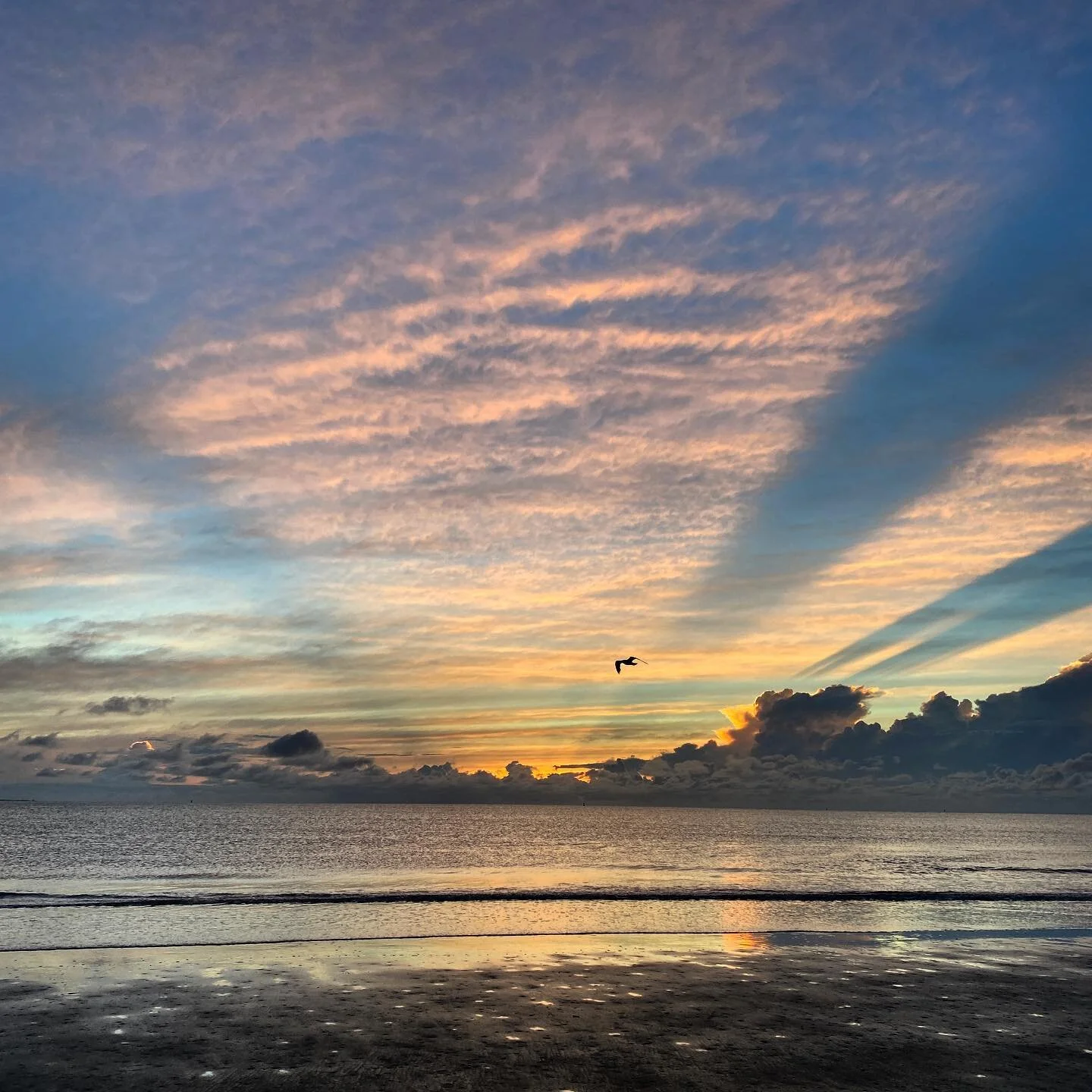 Sunbeams and seagulls. Yes, please. 🌅 

#tybee #tybeeisland #sunrise #tybeeislandbeach #visittybee #naturephotography #vacation #travelphotography #georgia #rochesterphotographer #beach
#eastcoastnomads #travel #roctotybee