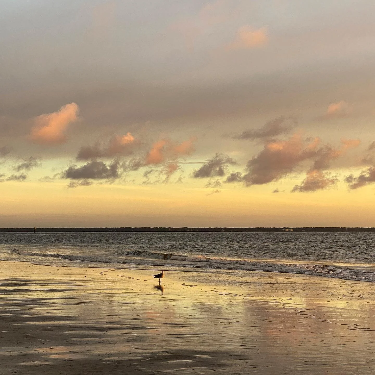 Do you struggle at all with insomnia? I was up most of the night last night. Worrying. Praying. Feeling sad and discouraged. Stressing about things that keep piling up, out of my control, while trying to take back control of my feelings and response 