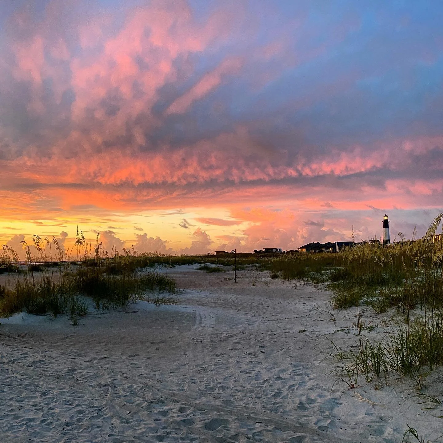 &ldquo;The wild, unrestricted love of God is not simply an inspiring idea. When it imposes itself on mind and heart with the stark reality of truth, it determines why and at what time you get up in the morning, how you pass your evenings, how you spe