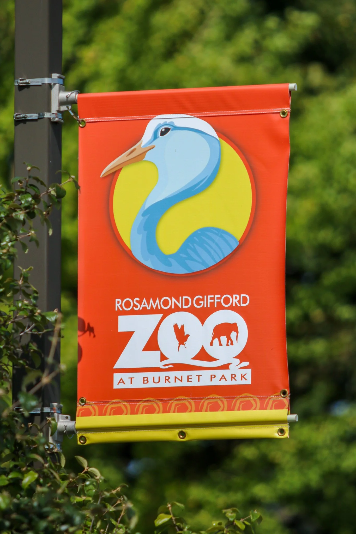 Alissa Animal Banner 2-2 (1).jpg