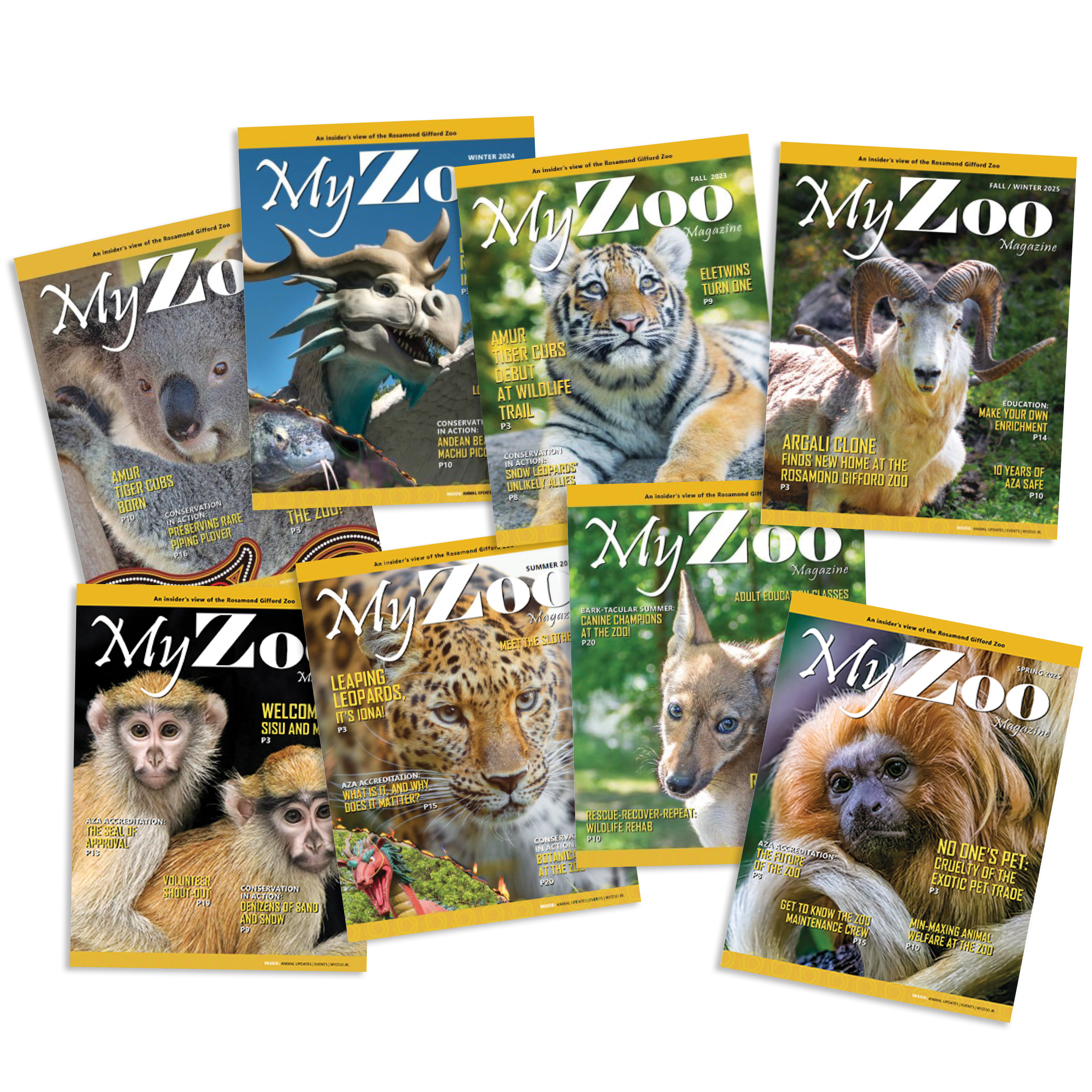 MyZoo Magazine