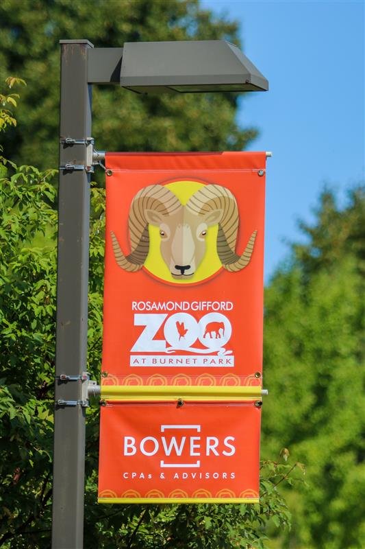 Alissa Animal Banner 1-2 (1).jpg