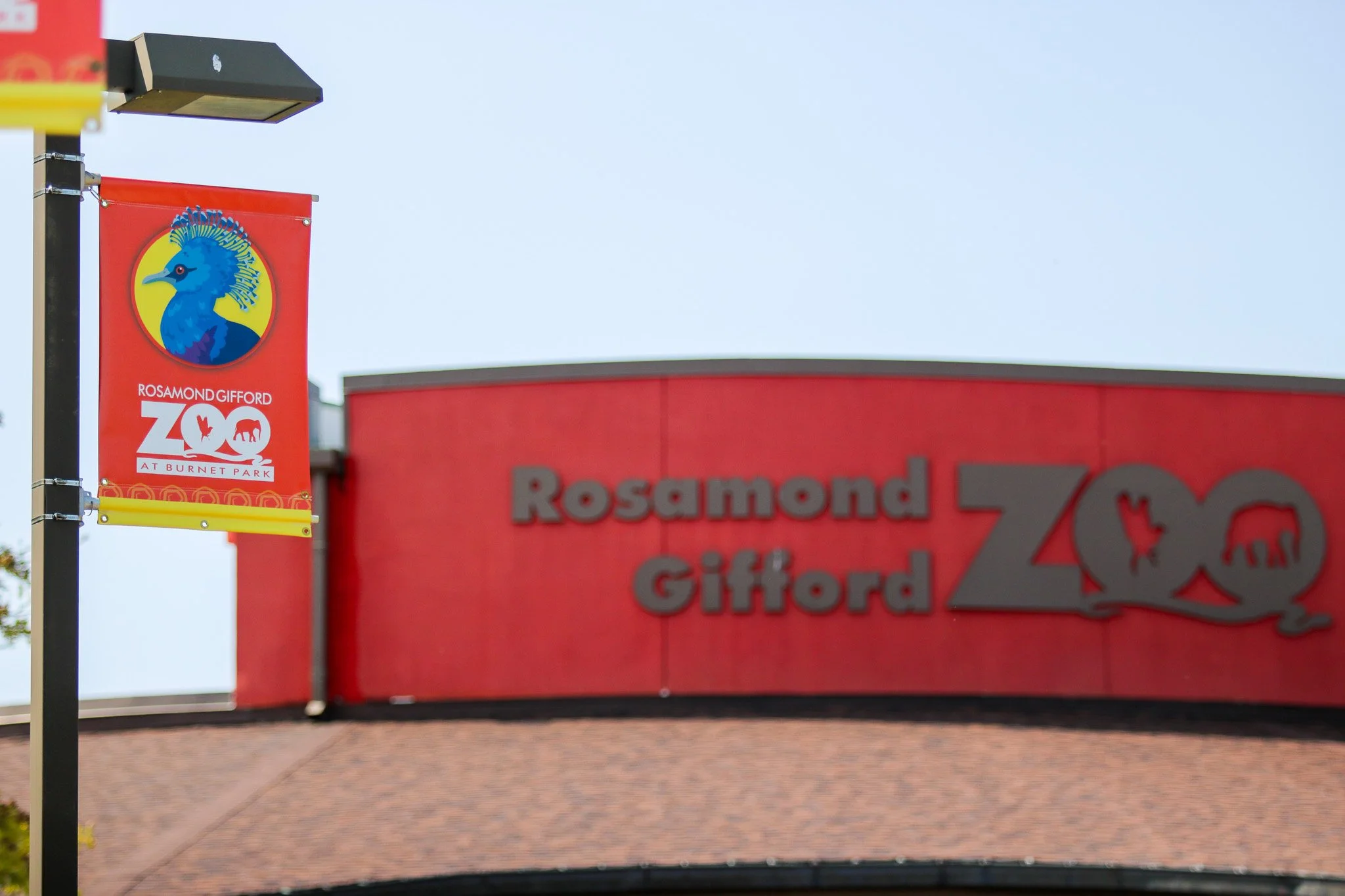 Alissa Animal Banner 3-2 (1).jpg