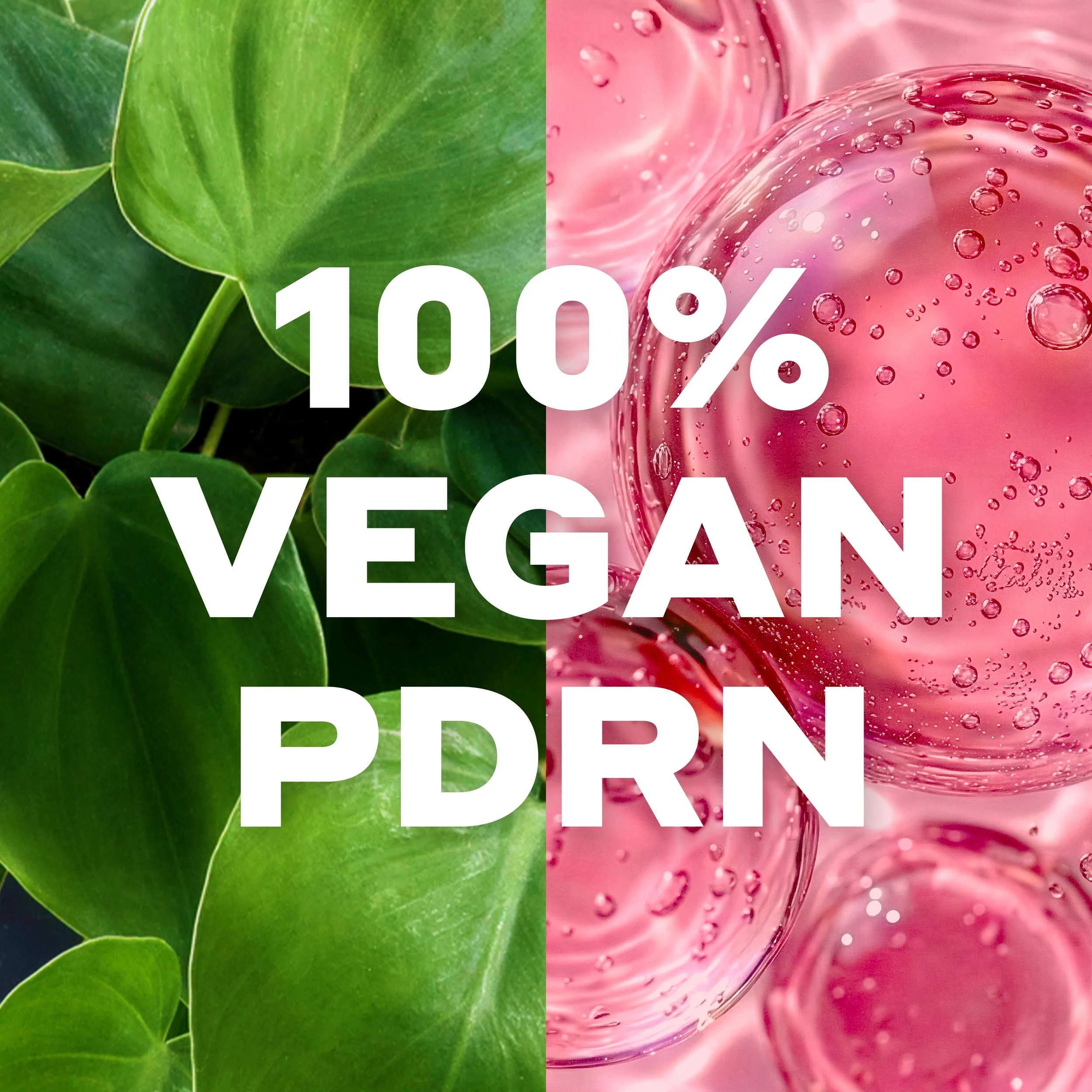 PDP-3_Ingredients.jpg