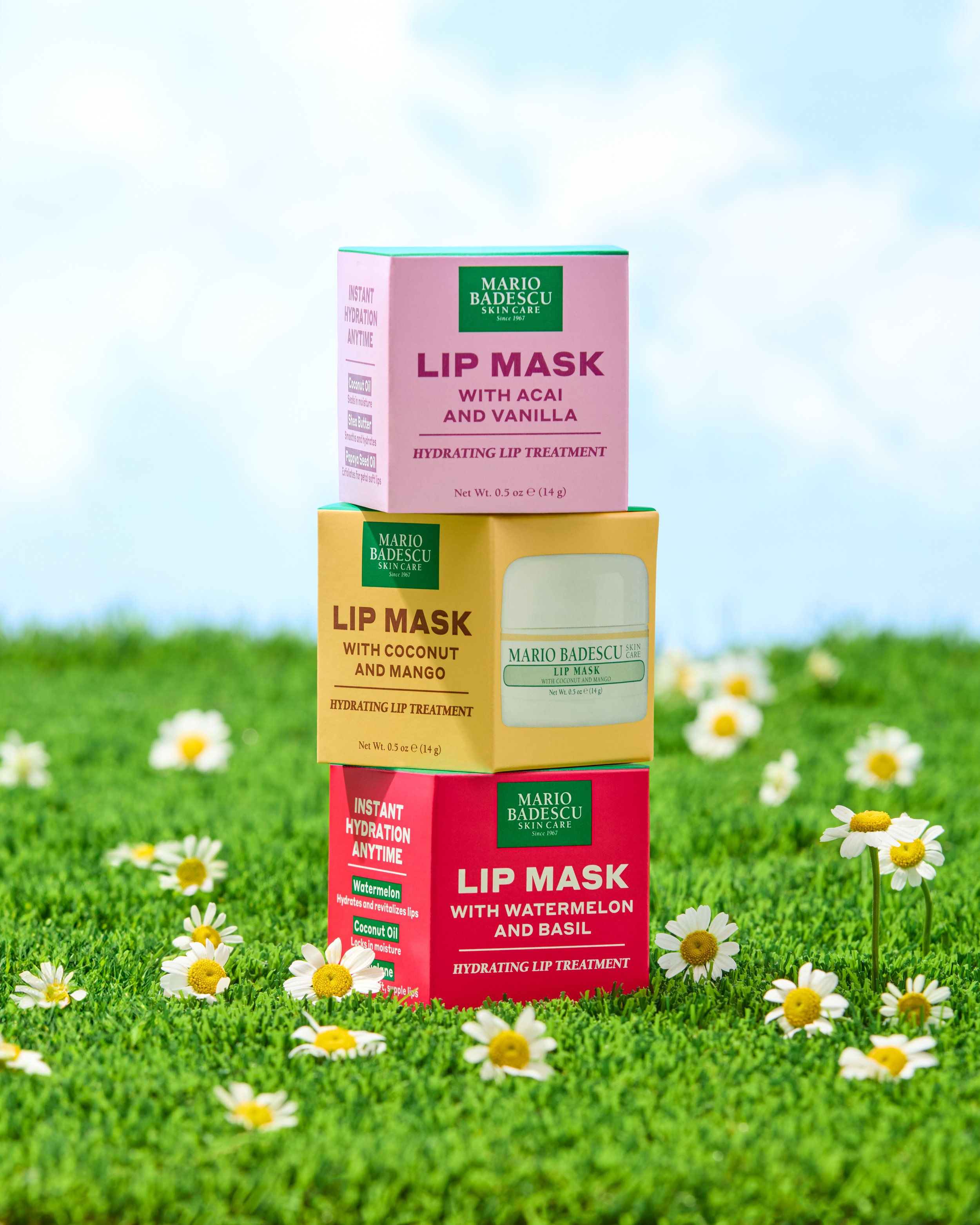 3 Boxes Picnic Lip Mask_EDITED.jpg
