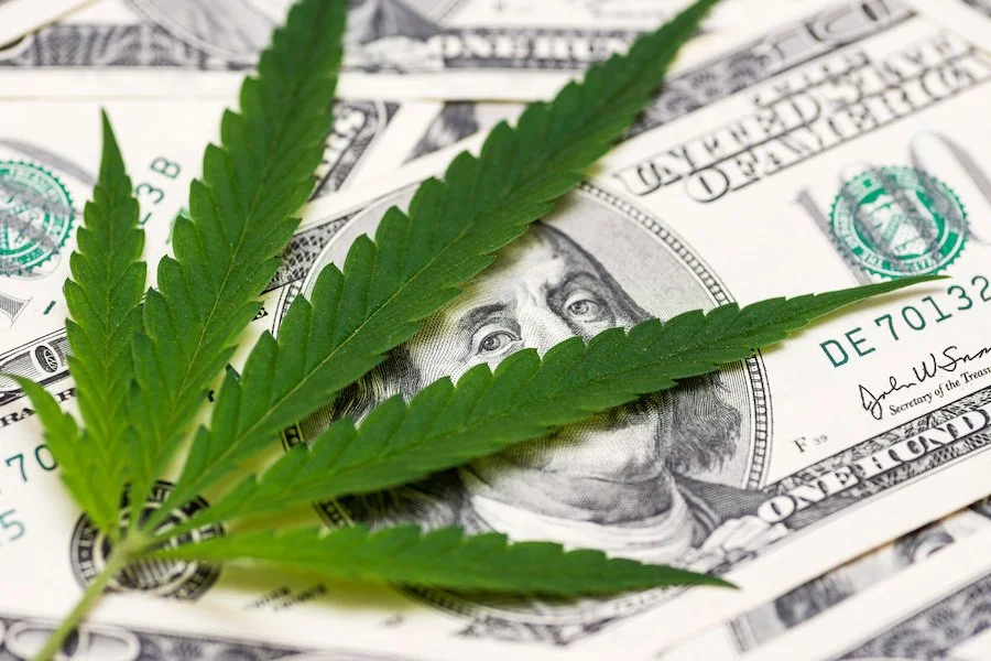Understanding Fines Related to Missouri Cannabis Compliance