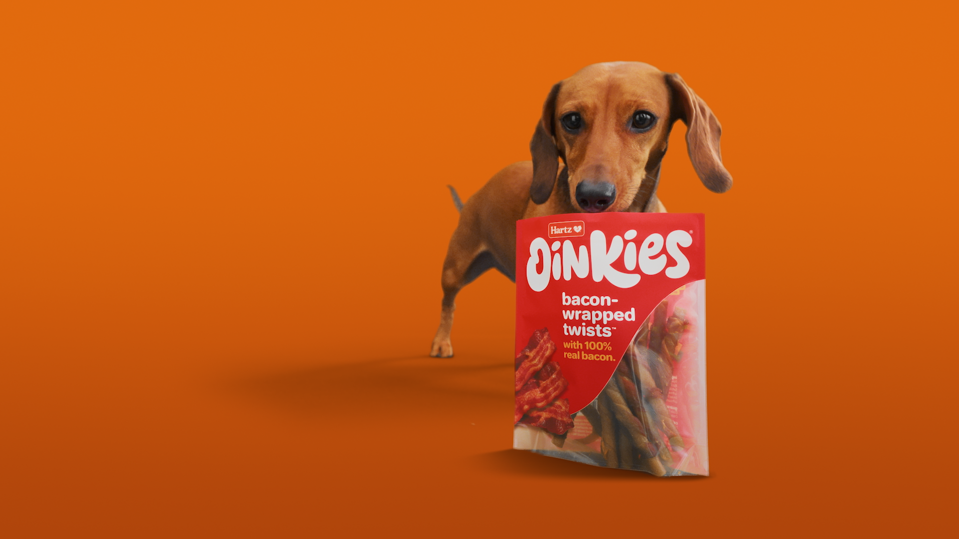 oinkies 01.png