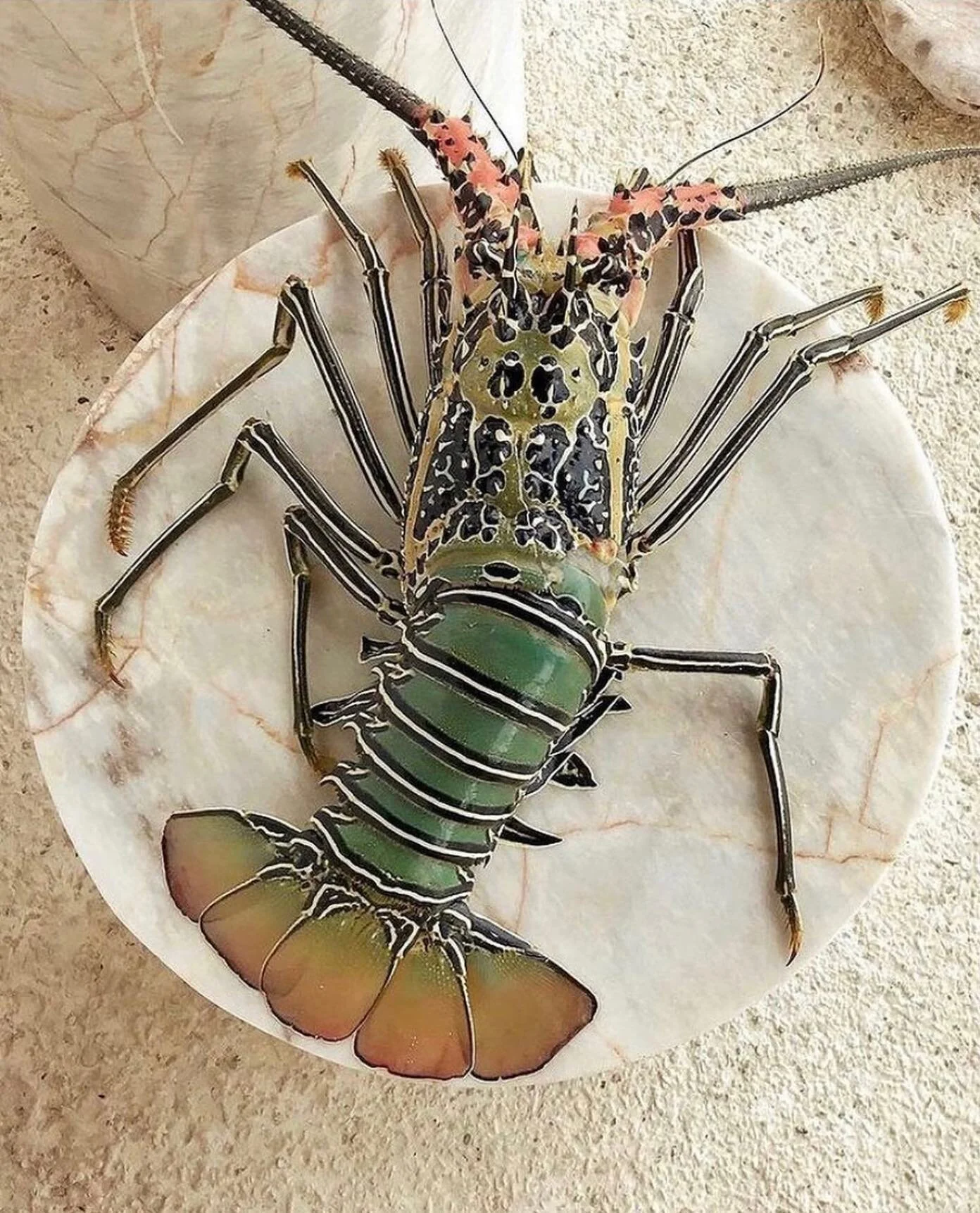 &ldquo;Everyone eats slowly, tells stories, and one uncle who is the comedian of the family is usually cracking jokes that make everyone laugh to the point of tears&rdquo; this week&rsquo;s interview takes us on a trip to a few places: Los Angeles, a