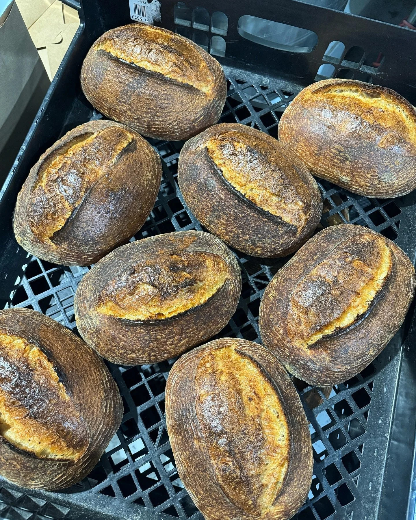 Hello Breadheads, 

Melo bread found itself in a bit of a pickle. 
I&rsquo;m going to spare you the whole story, but it comes down to the following,
we lost our production space due to circumstances that are out of our hands. We are looking for a new
