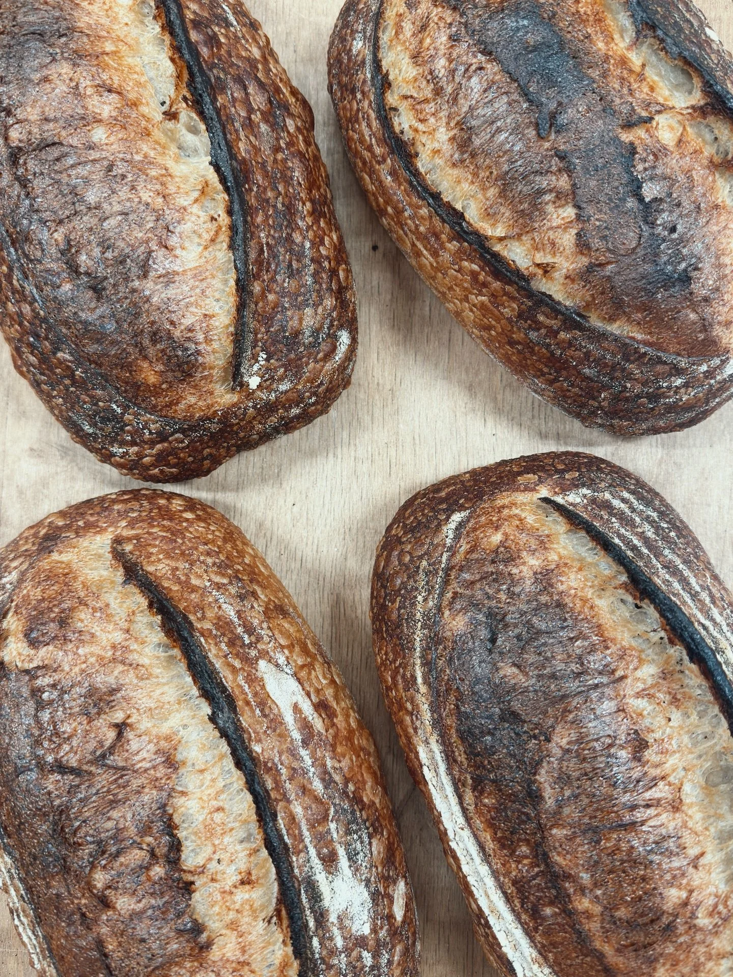 💥 💥 💥 we&rsquo;re taking care of a big, biig project, huge! this week down at the bread shop. 💥 💥 💥 this will interfere with bread availability on friday. 🚨 🚨 

I would still like to bake you a few loaves this week, though. 🙏🏼 
instead of f