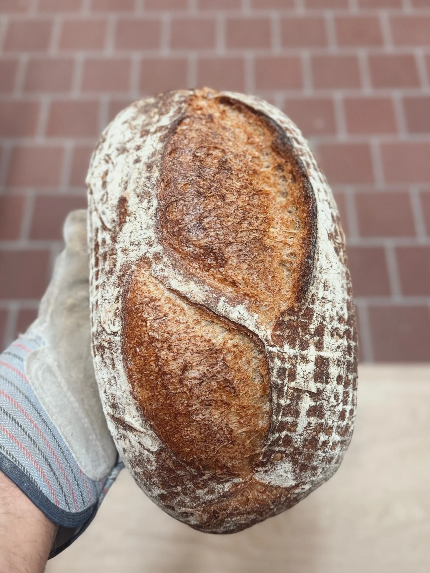 ⚡️⚡️available today⚡️⚡️ 

40% whole grain stone-milled spelt 
60% trailblazer 
90% water 
2.2% pink salt 

= one of my fave loaves, hands down. 

#sourdough #bread