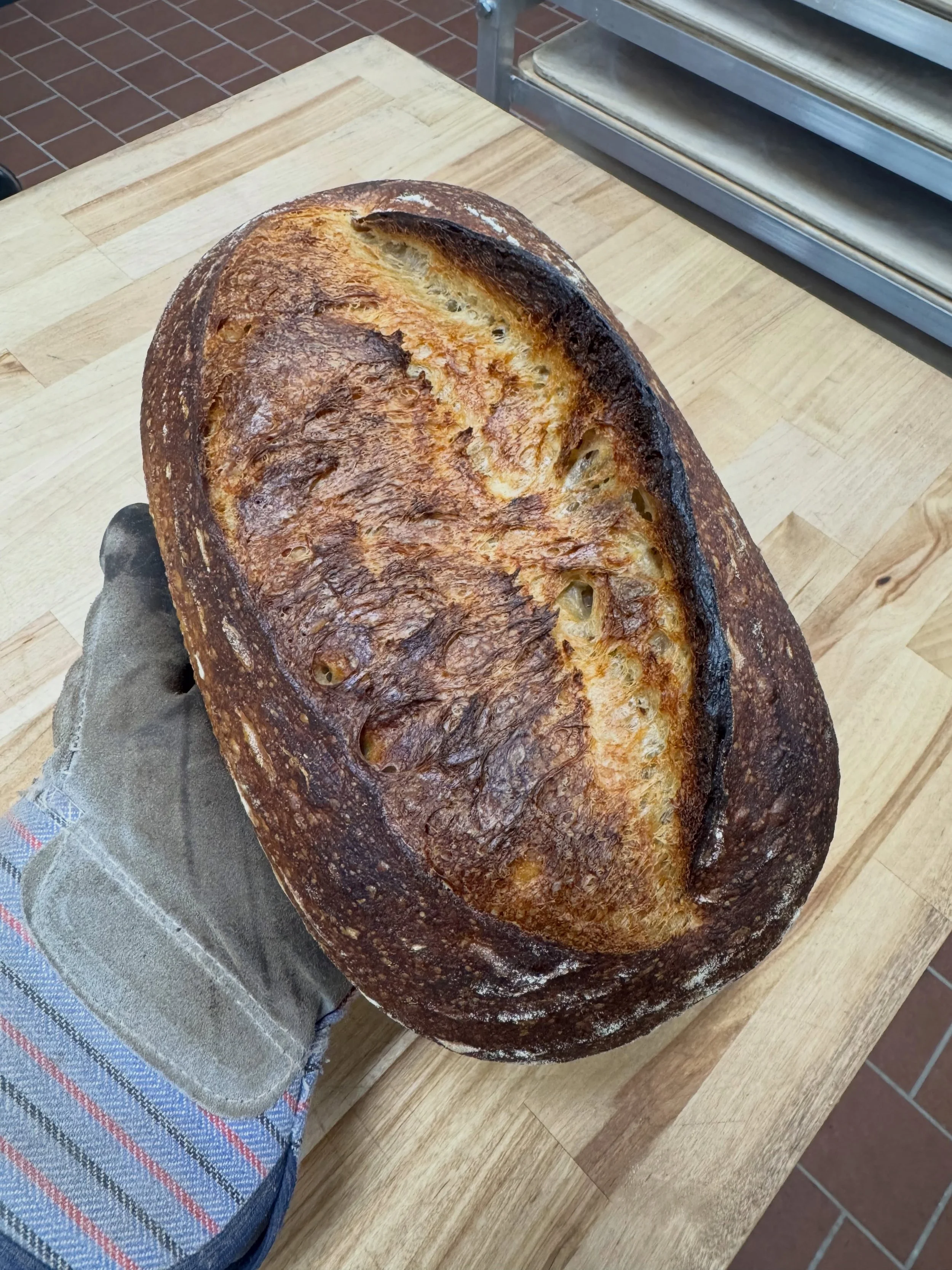 Testing the hard red bread flour from @melgardfarmmill
They grow their grain in Turlock, CA, which is very exciting! 

100% Melgard bread flour
92%  water 
2.2%  salt

#sourdough #local #melobread