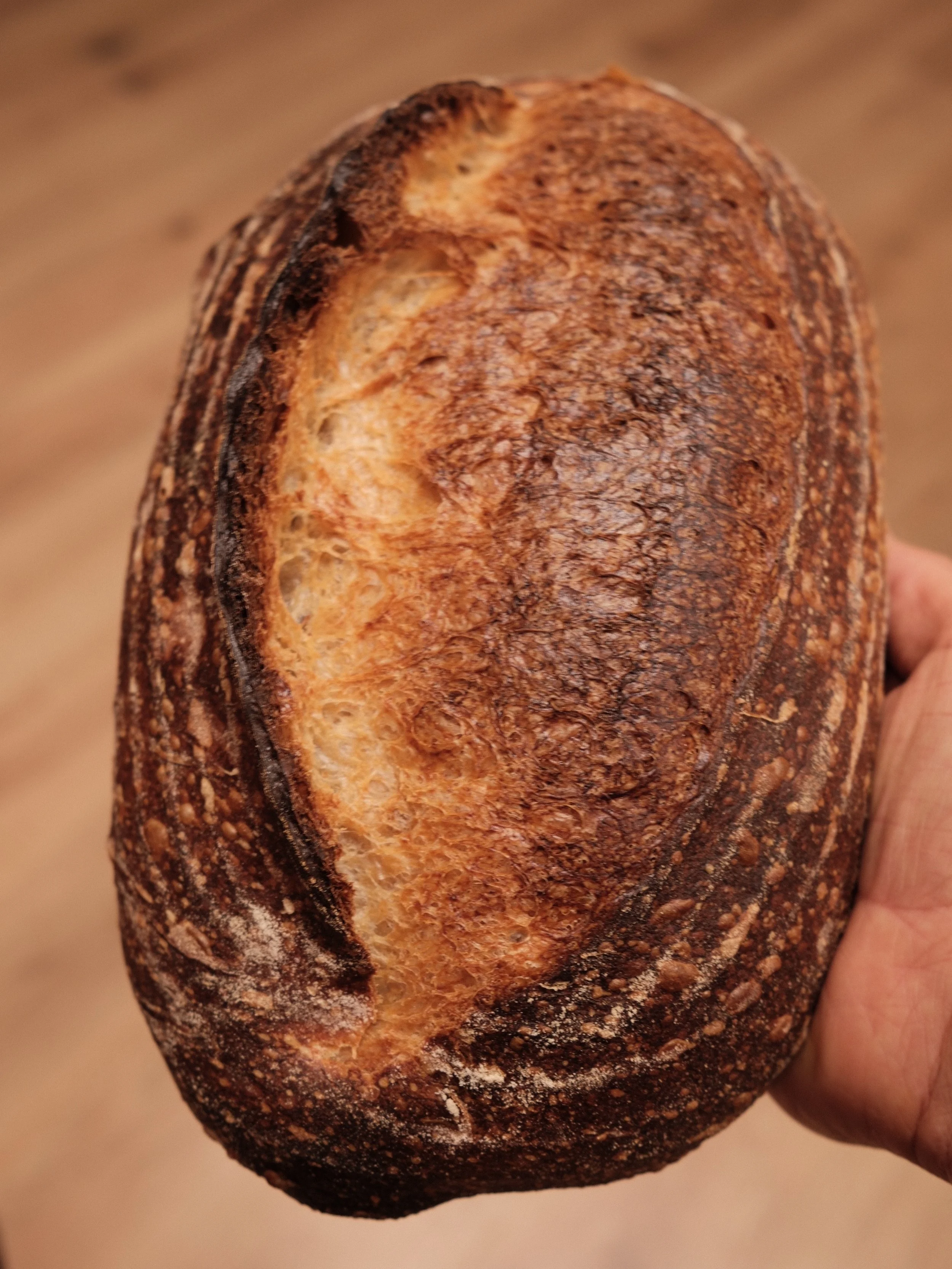 | | | fresh off the decks | | | open today 11a - 2p before our break next week. come through, stock up. ☀️🫰🌾

#sourdough #bakery #melobread