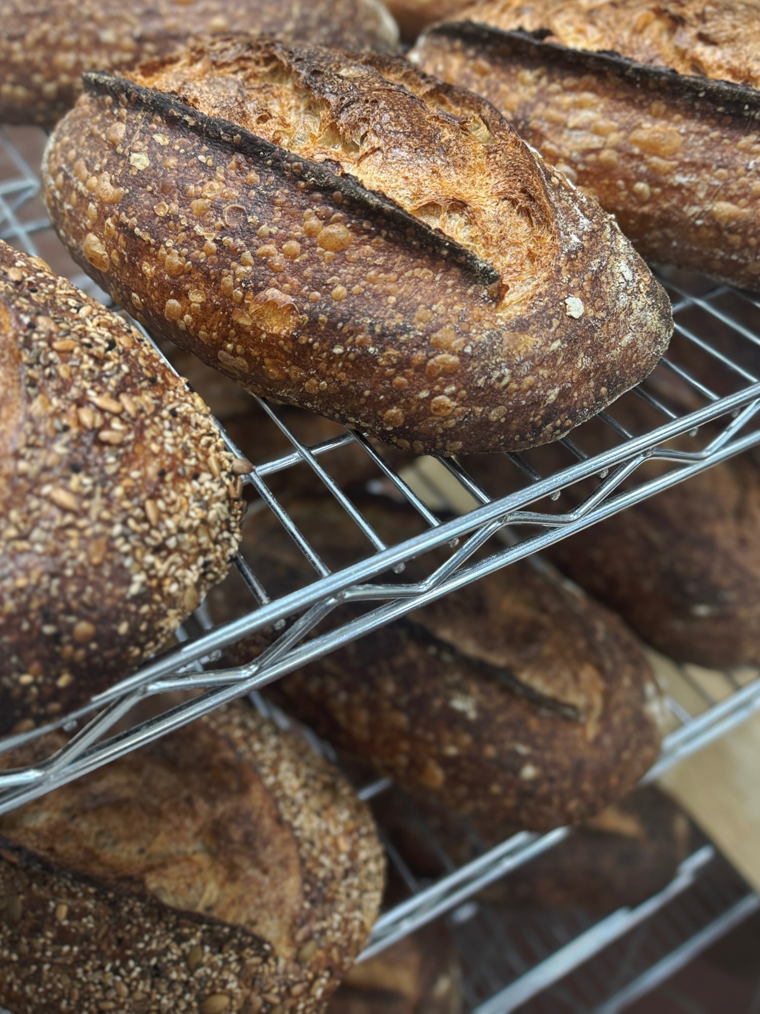 💥bread shop open at 10am today, SATURDAY💥
come on through for the freshest sourdough, cinnies and those insane cookies you heard about! 

#sourdough #bakery #melobread