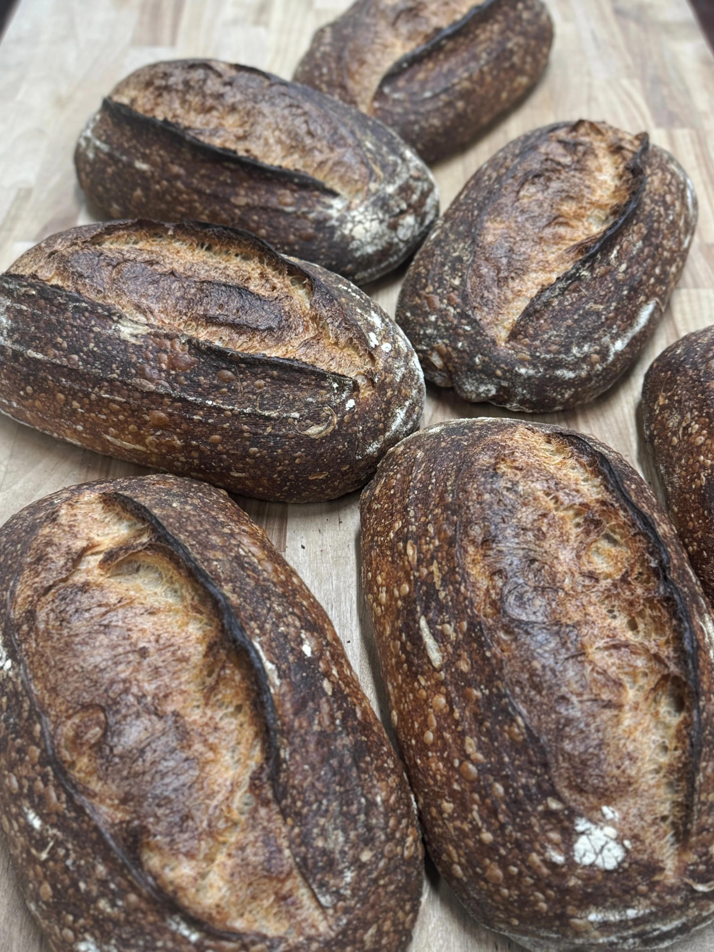 ☀️O P E N T O D A Y, S A T U R D A Y A U G U S T E I G H T ☀️

#sourdough #bread #melobread #watsonville #pickleball